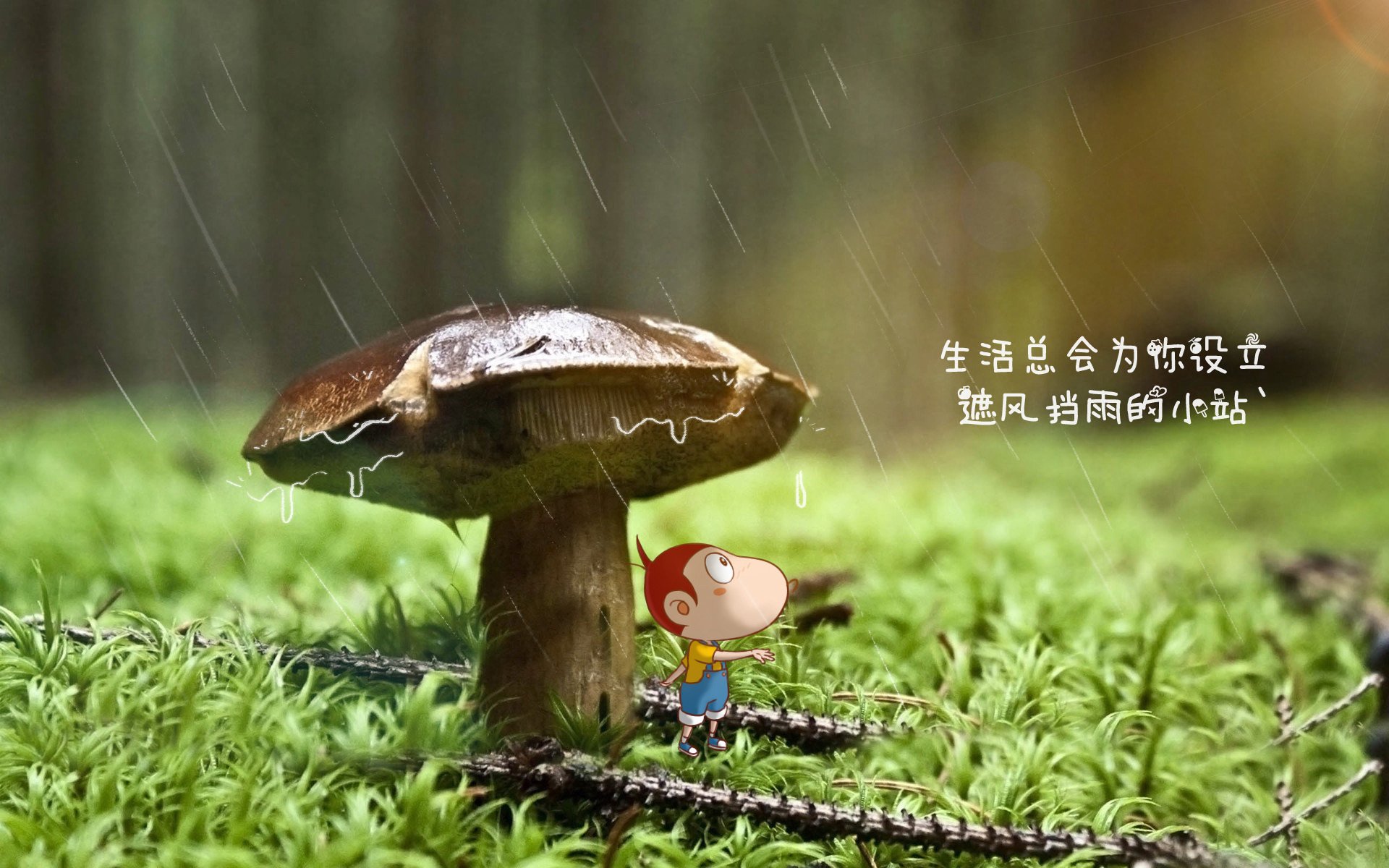 快船队迎战劲敌，双方战术对决精彩纷呈，快船队视频