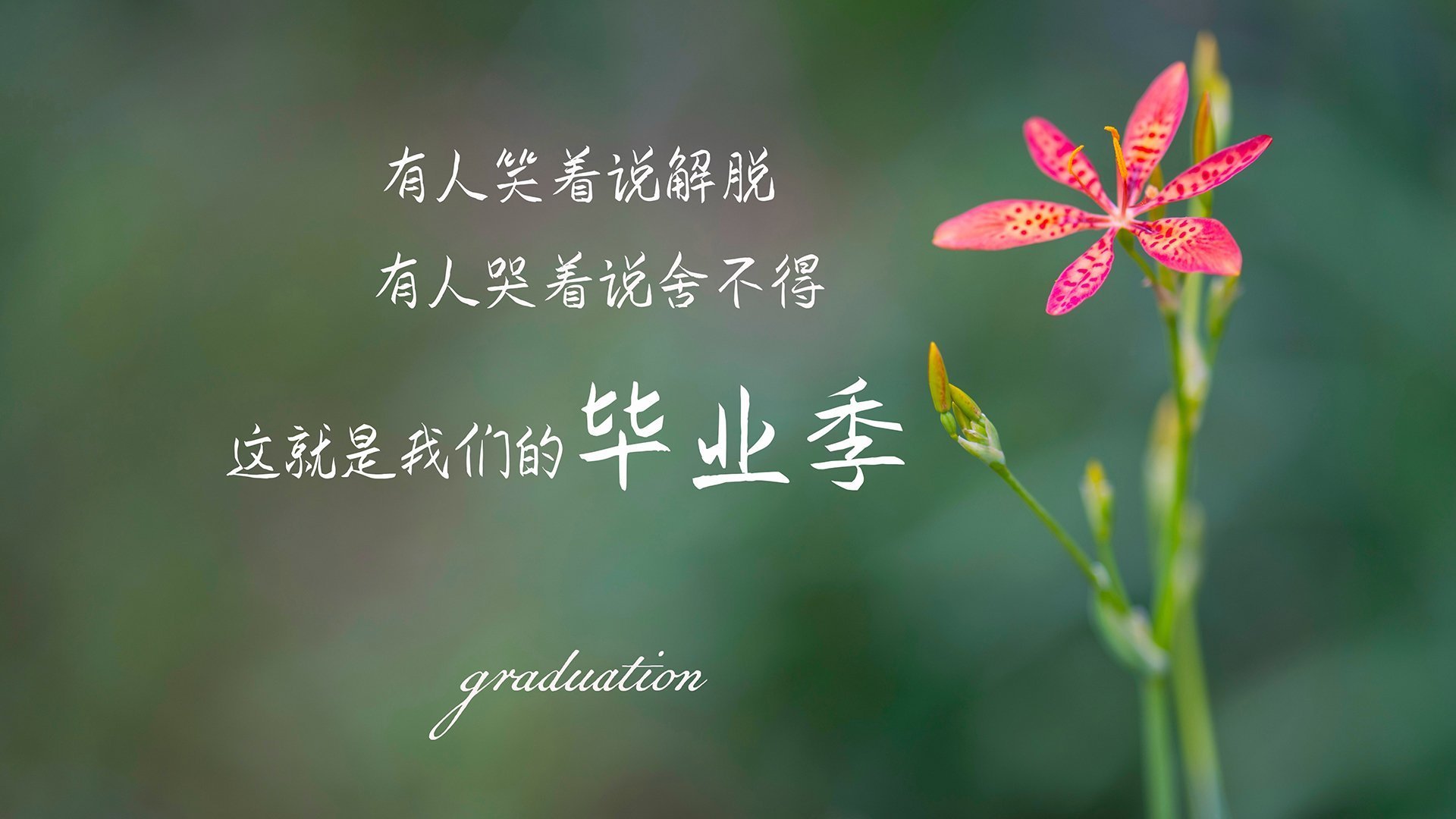 青少年“篮球文创”产业园在深圳正式投入运营，深圳青少年篮球培训中心