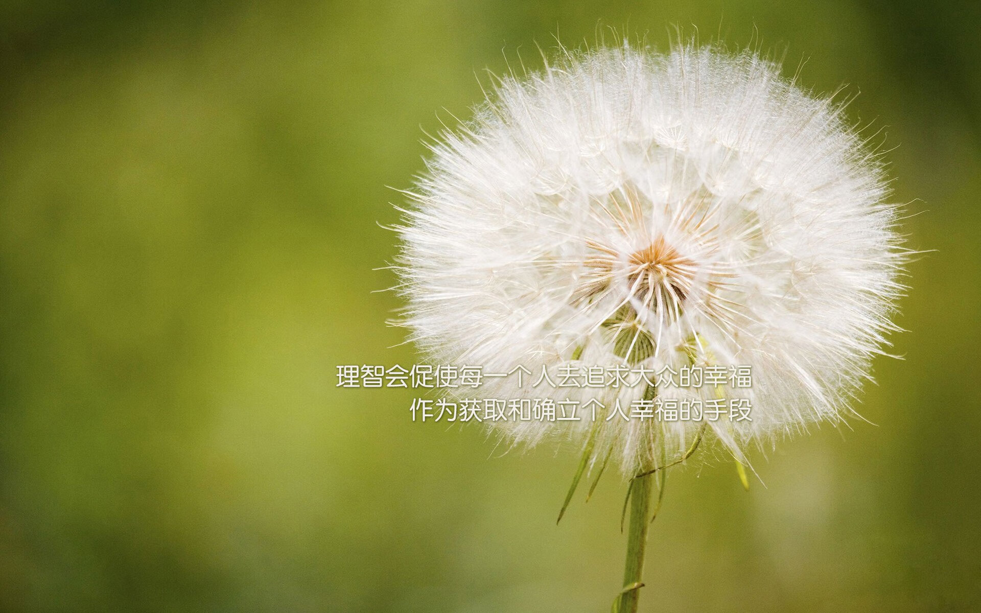 新疆飞虎团队协作助力关键胜利，新疆飞虎队官网