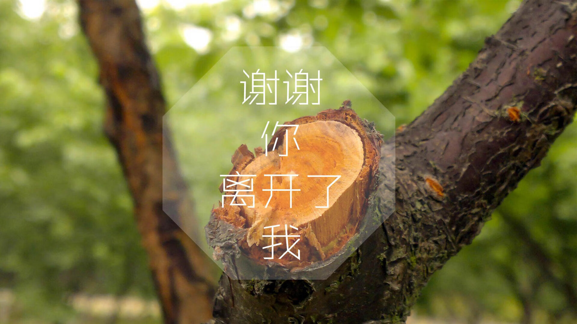 长春亚泰战平对手，保持不败战绩，长春亚泰历史战绩
