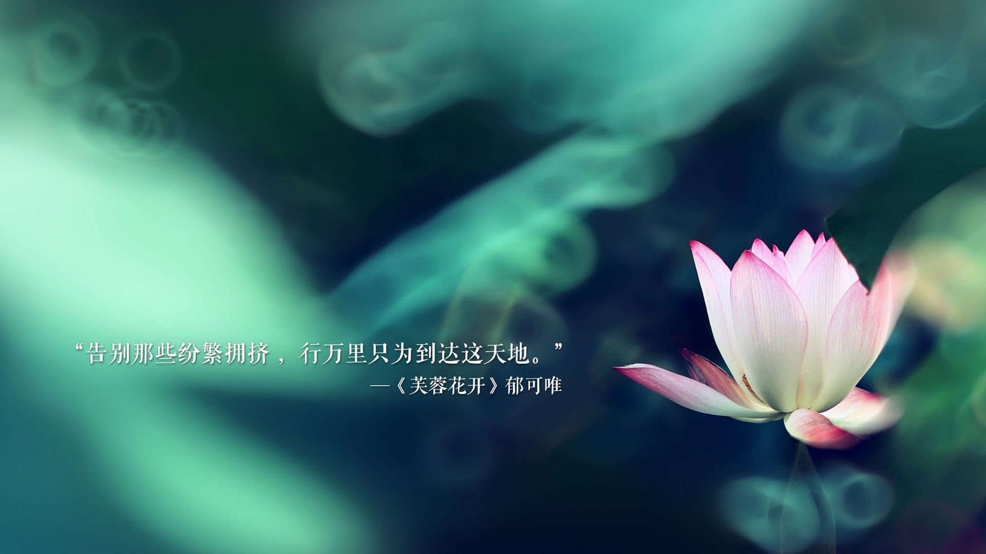 Leyu Sports (乐鱼体育)-国羽提前出线羽毛球世锦赛，国羽世锦赛名单