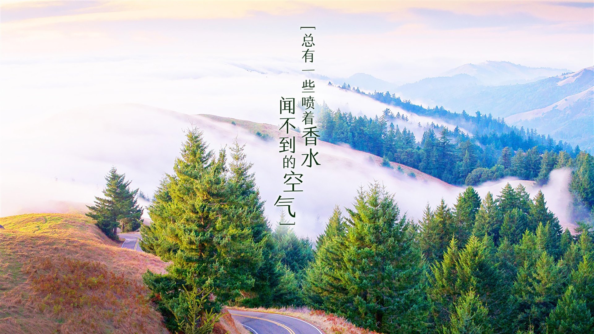 乐鱼（LEYU）体育-新训练课题着重传切配合提升阵地战进攻效率与思路，传切战术配合指的是